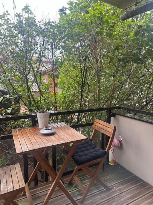 Ferienwohnung Jardin Des Plantes Parking Securise Terrasse Et Ascenseur Toulouse Exterior foto
