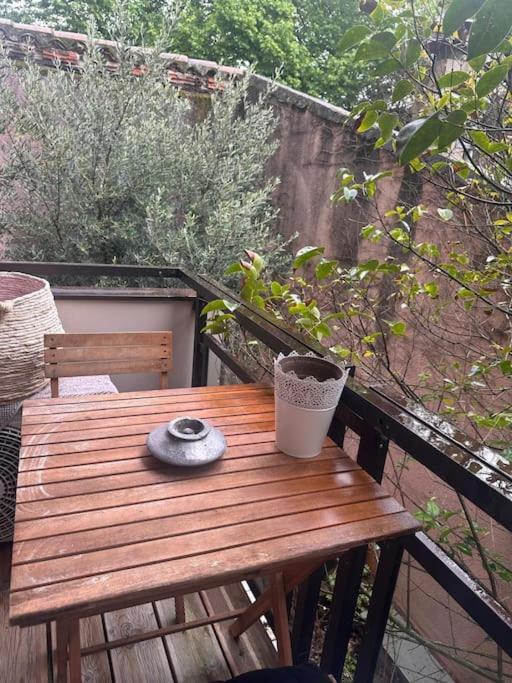 Ferienwohnung Jardin Des Plantes Parking Securise Terrasse Et Ascenseur Toulouse Exterior foto